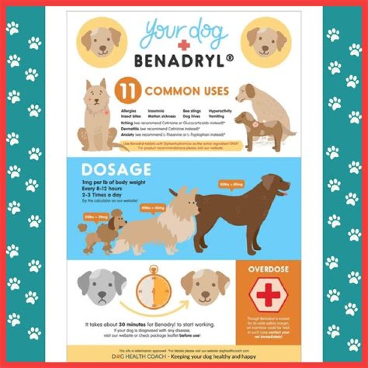 Can I use Benadryl cream on my dog?