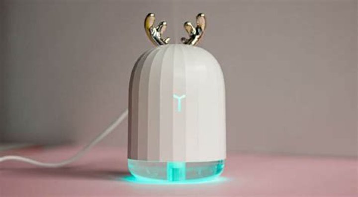 Can you put Cologne in a humidifier?