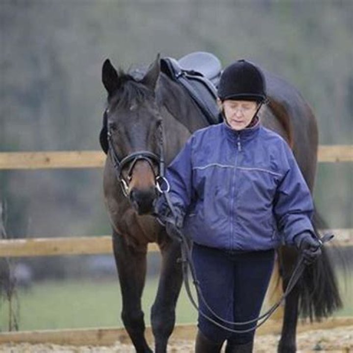 How do you calm a horse?
