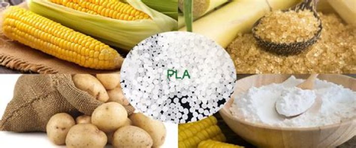 Is PLA actually biodegradable?